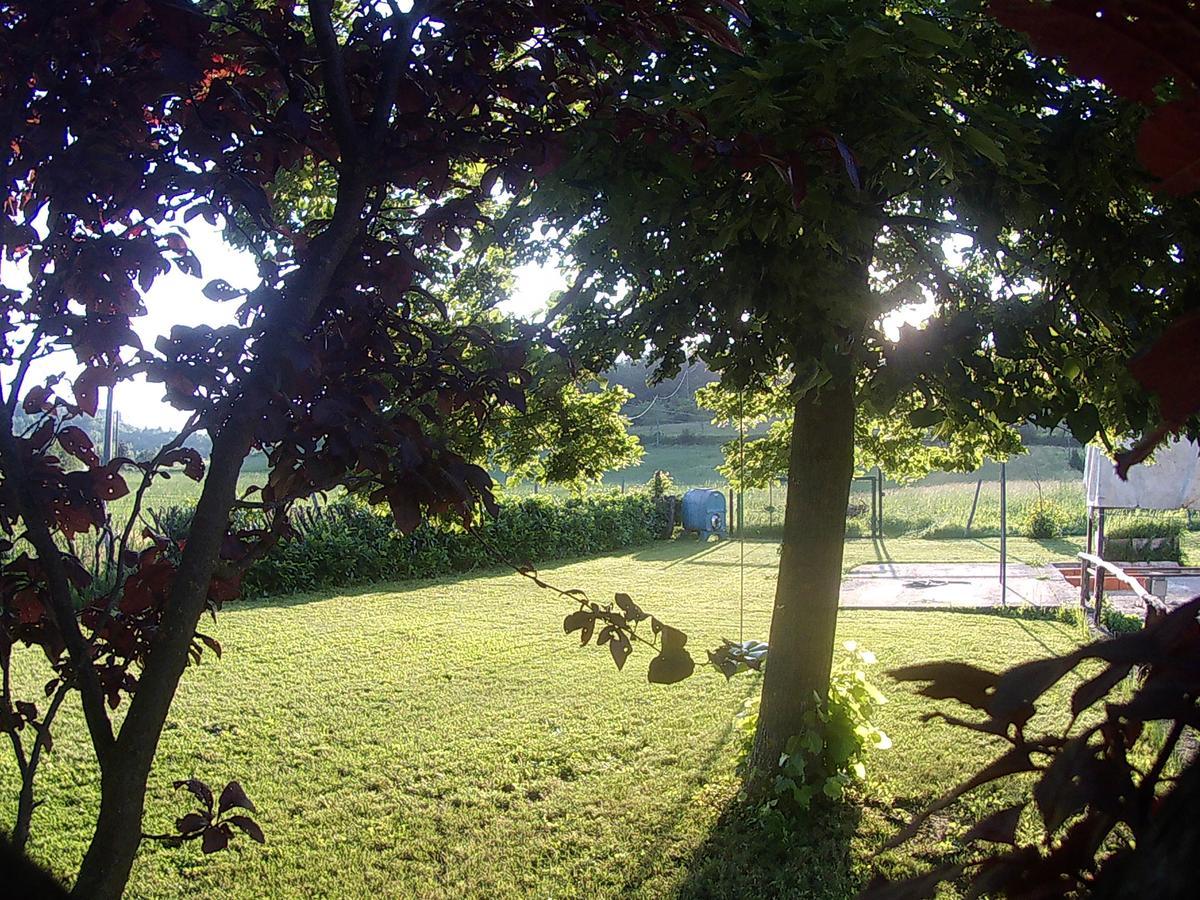 Gavi/Alice Open Space Bed & Breakfast Exterior photo